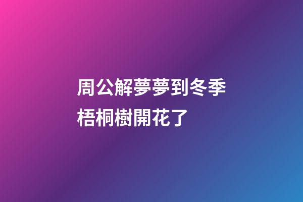 周公解夢夢到冬季梧桐樹開花了 (夢見梧桐樹開了滿樹梧桐花)-第1張-觀點-玄機派
